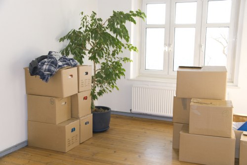 Sustainable moving and recycling process in Crystal Palace
