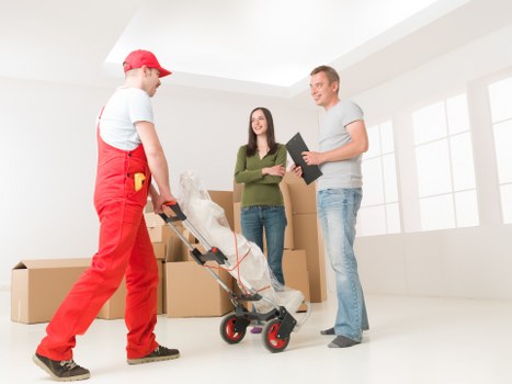 Crystal Palace man and van moving boxes and furniture
