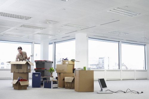 Careful packing service for fragile household items in Crystal Palace